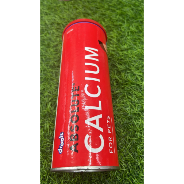Absolute Calcium Syrup - Drools