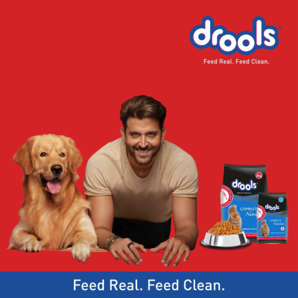 Cat Food - Drools