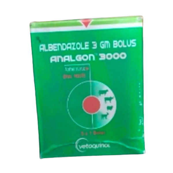 Analgon-Image