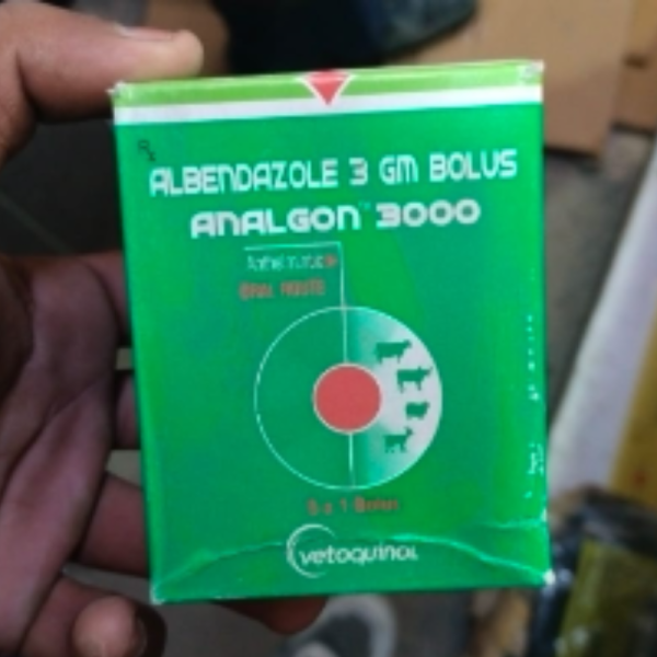 Analgon - Vectoquinol Animal Health