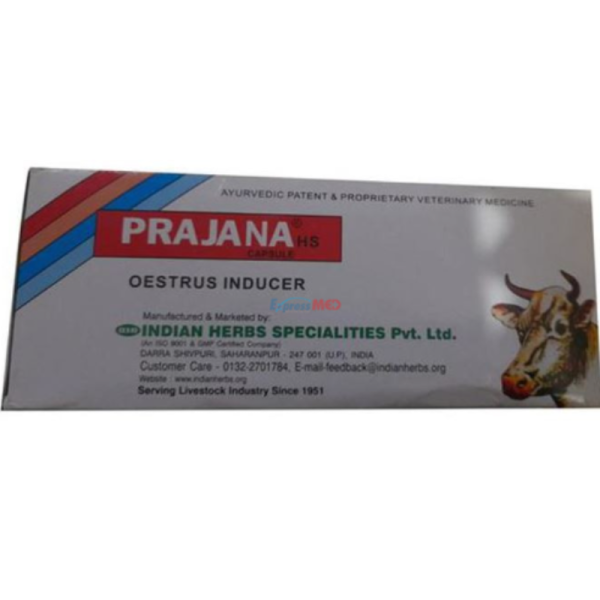 Prajana HS Capsule-Image