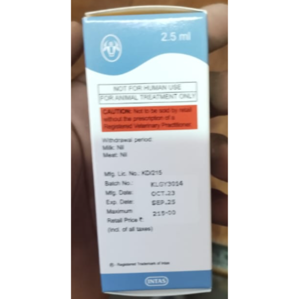 Gynarich Injection - Intas Pharmaceuticals Ltd