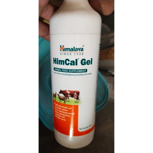Himcal Gel - Himalaya