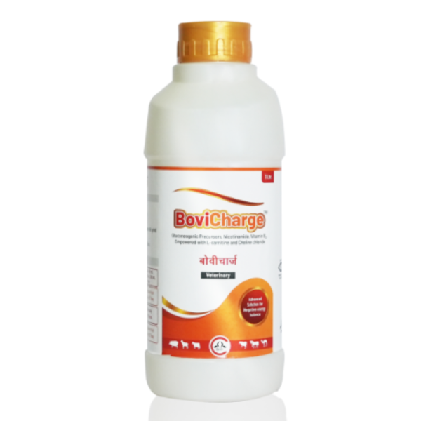 BoviCharge-Image