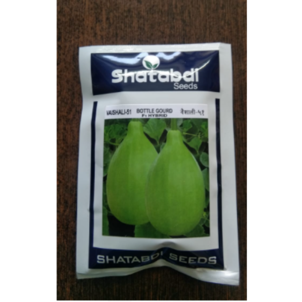 Bottle Gourd F1 Hybrid image 2