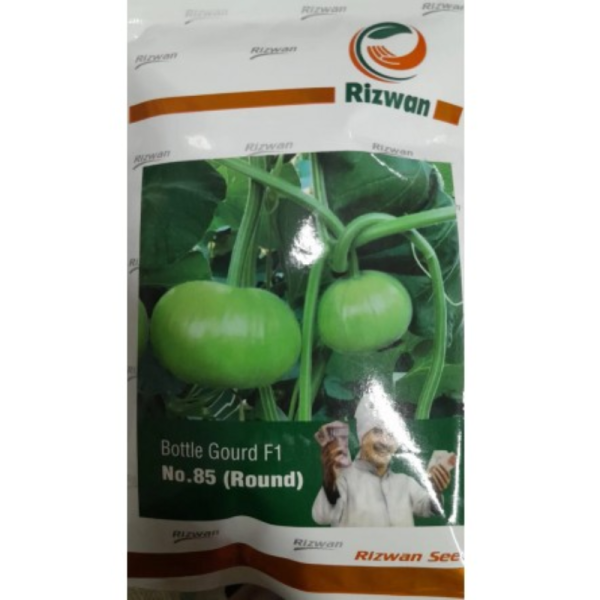 Bottle Gourd F1 Hybrid-Image