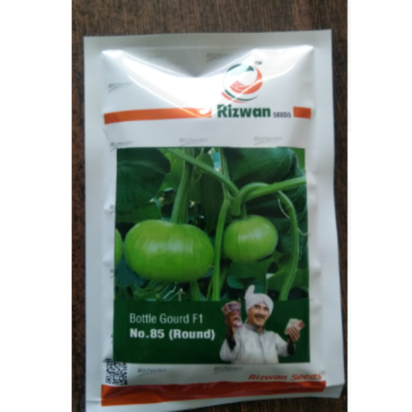 Bottle Gourd F1 Hybrid image 2