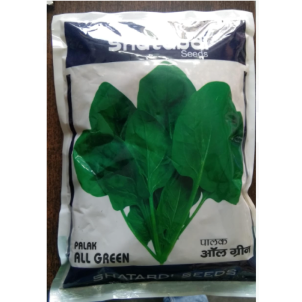 Palak Seeds image 2