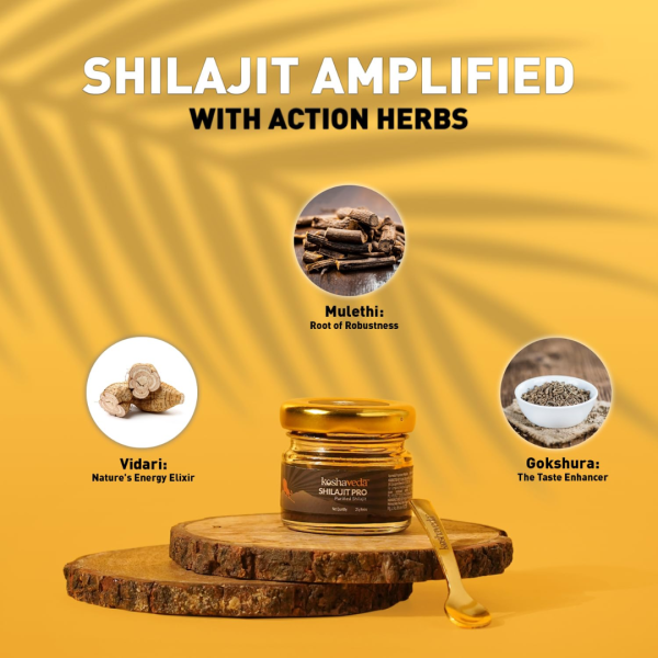 Koshaveda Shilajit Pro - MuscleBlaze