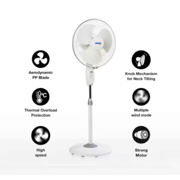 Pedestal Fan - Luminous