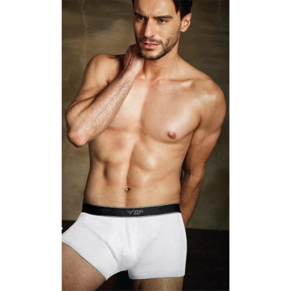 Trunk Underwear-Image