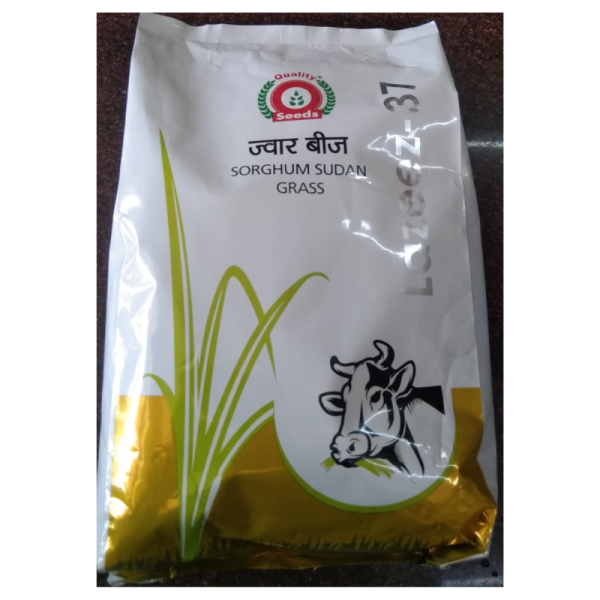 Sorghum Sudan Grass Seeds image 2