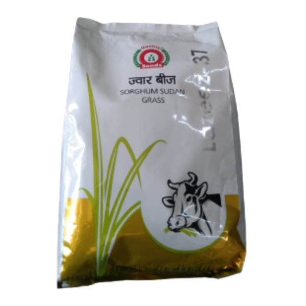 Sorghum Sudan Grass Seeds-Image