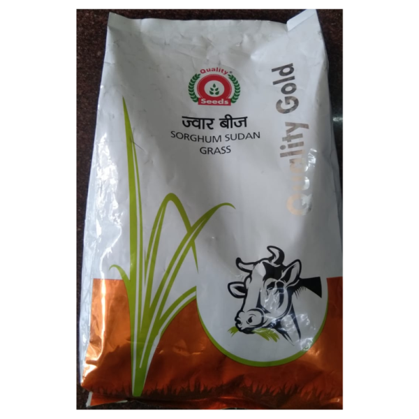 Sorghum Sudan Grass Seeds image 2