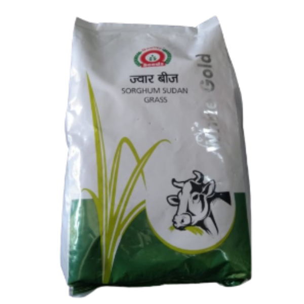 Sorghum Sudan Grass Seeds Image