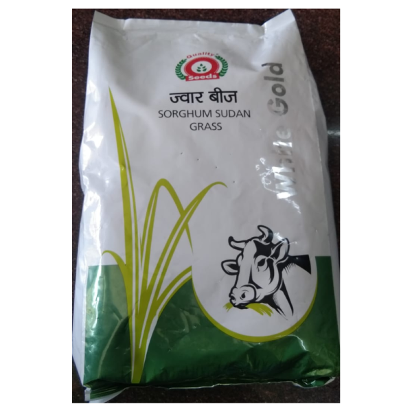 Sorghum Sudan Grass Seeds image 2