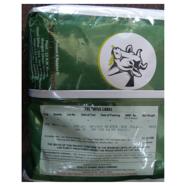 Sorghum Sudan Grass Seeds image 3