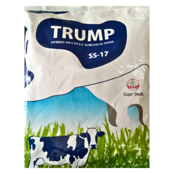 Trump Hybrid Multicut Sorghum Seeds-Image