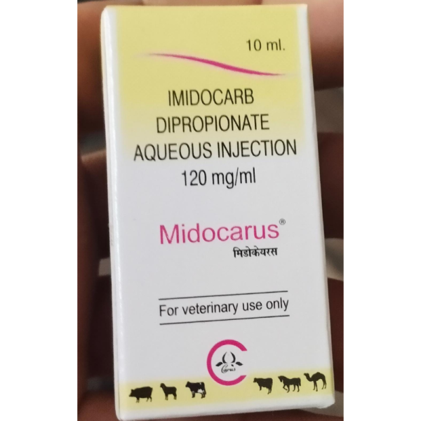 Midocarus Injection - Carus Laboratories Pvt. Ltd