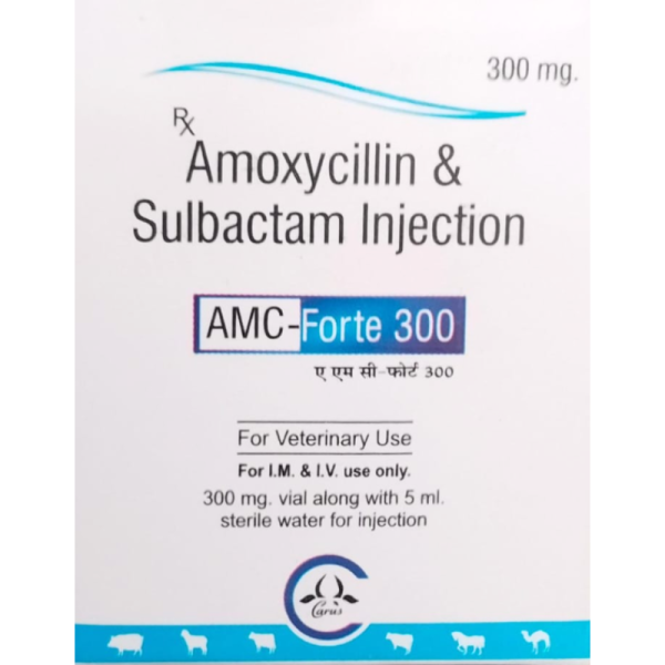 AMC-Forte 300 - Carus Laboratories Pvt. Ltd