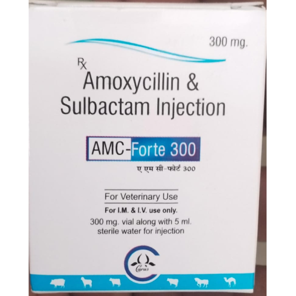 AMC-Forte 300 - Carus Laboratories Pvt. Ltd