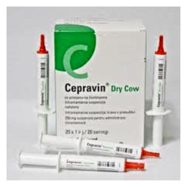 Cepravin Dry Cow-Image