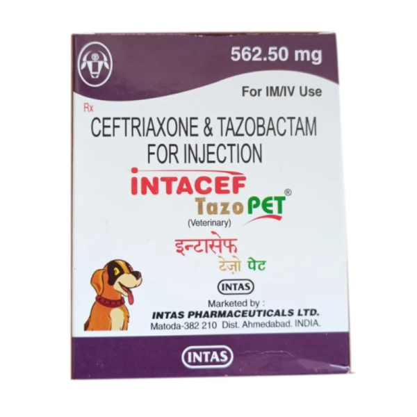 Intacef Tazo Pet - Intas Pharmaceuticals Ltd