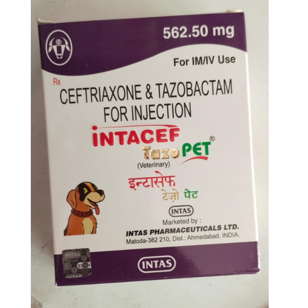 Intacef Tazo Pet - Intas Pharmaceuticals Ltd