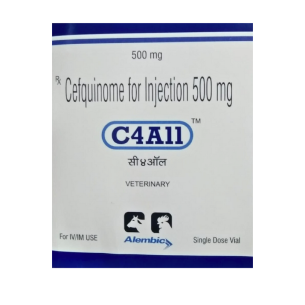 C4A11-Image