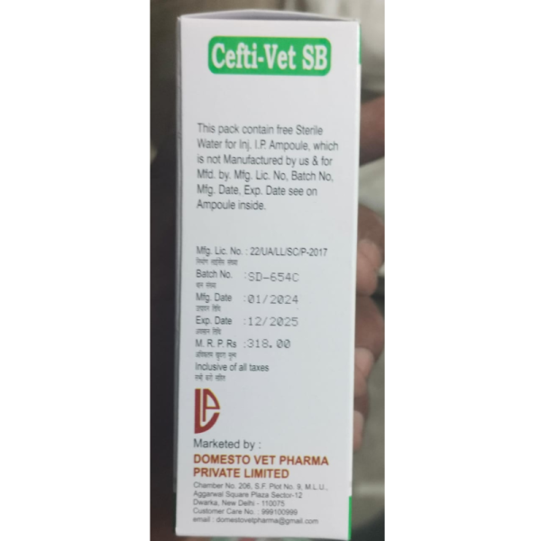 Cefti-Vet SB Injection - Domesto Vet Pharma