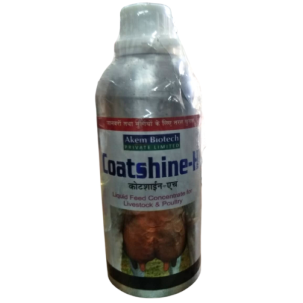 Coatshine-H-Image