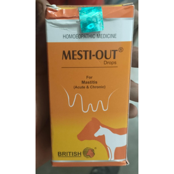 Mesti Out Drops - Bhvp Homeo Pharma