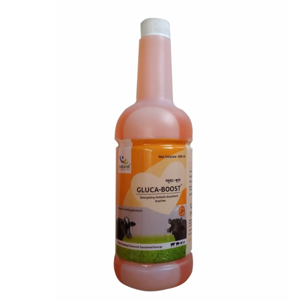 Gluca Boost-Image