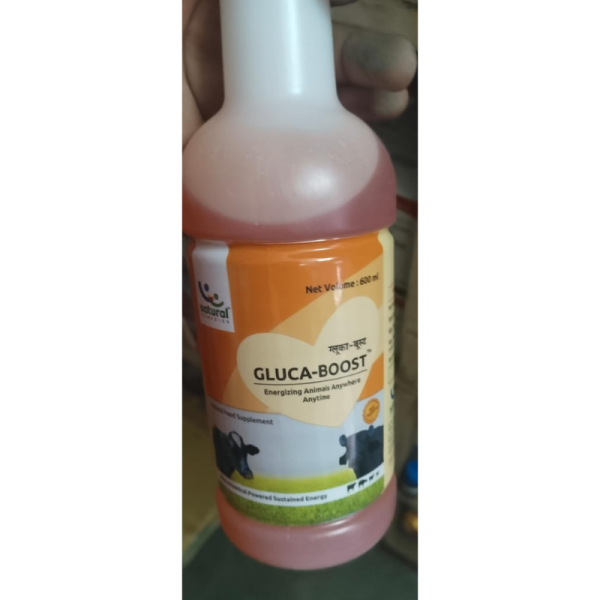 Gluca Boost - Natural Remedies Pvt.Ltd