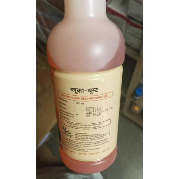 Gluca Boost - Natural Remedies Pvt.Ltd
