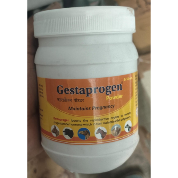 Gestaprogen Powder - Animax Pharma