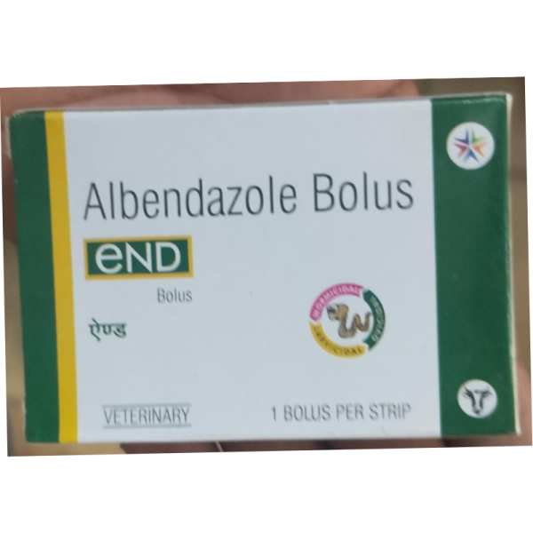 End Bolus - Rodec