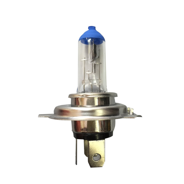 Halogen Bulb-Image