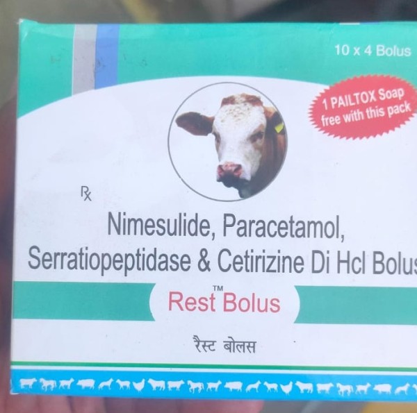 Rest Bolus - Welcome Vet Pharma pvt ltd