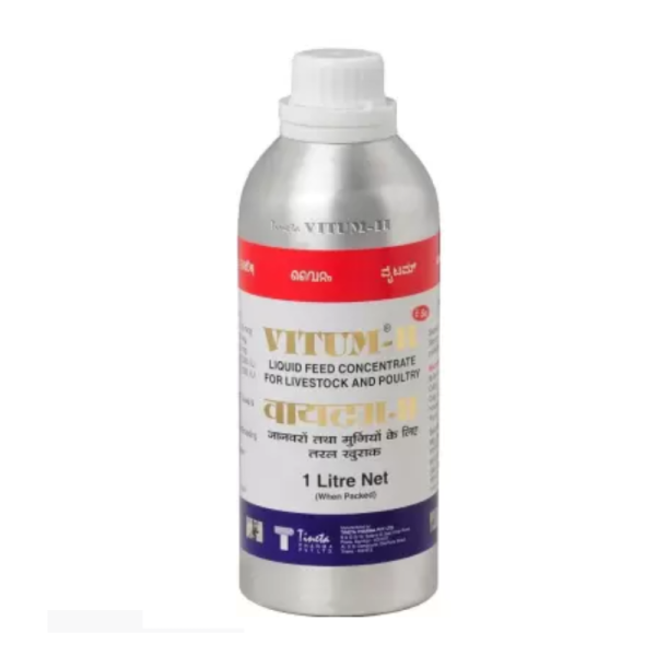 Vitum-H-Image