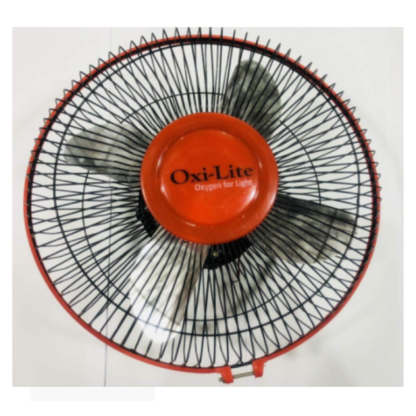 Coach Fan-Image