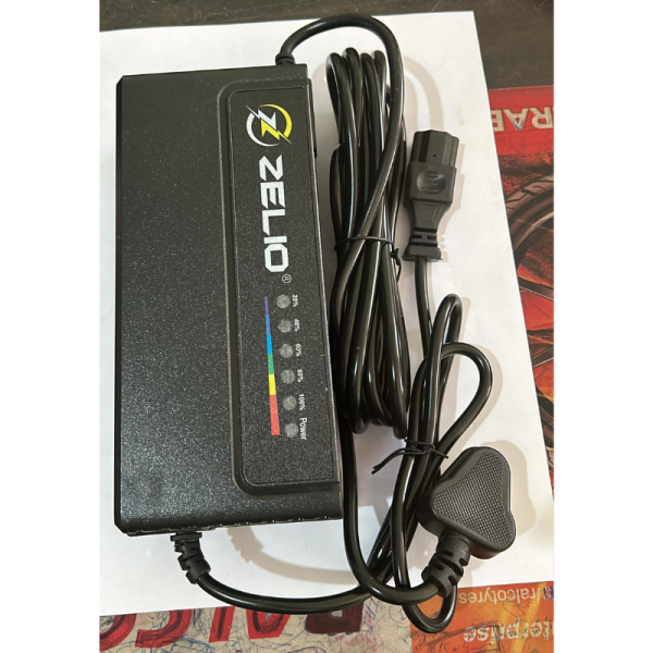 Battery Charger - zelio