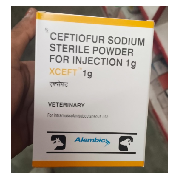 Xceft 1g Powder - Alembic