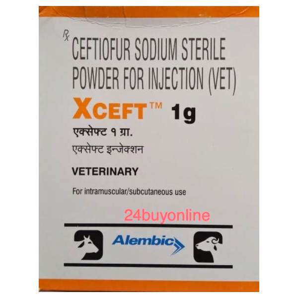 Xceft 1g Powder - Alembic