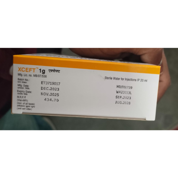 Xceft 1g Powder - Alembic