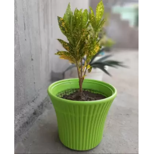 Flower Pot - Modern