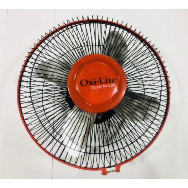 Coach Fan-Image