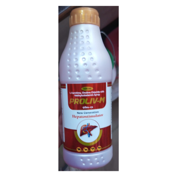 Proliv -M Syrup - Revamp Healthcare