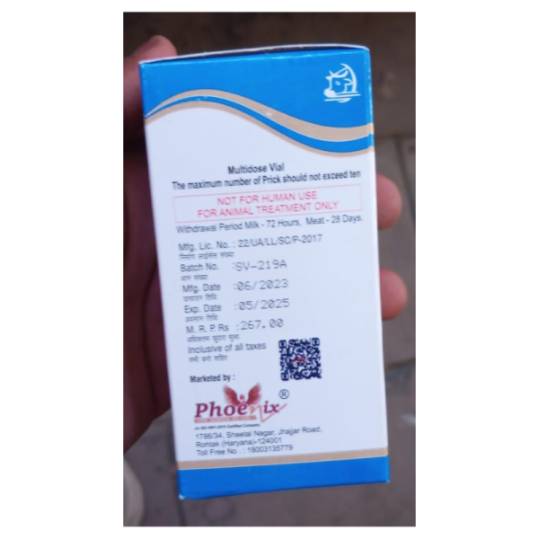 L-Cin Injection - Phoenix
