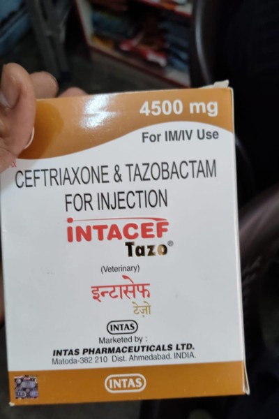 Intacef Tazo - Intas Pharmaceuticals Ltd